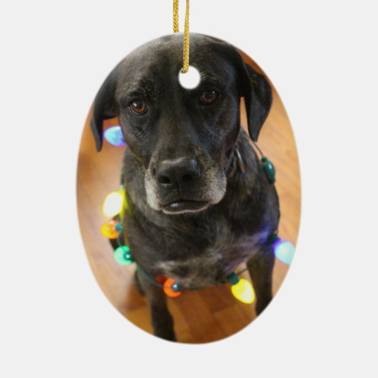 Lefy + Lights Hoiday Ornament (Achterkant)