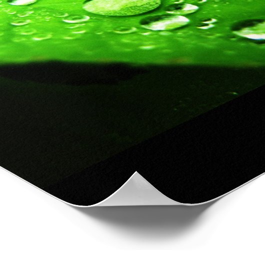 Leg de regen vast poster (Hoek)