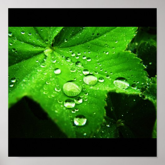 Leg de regen vast poster (Voorkant)