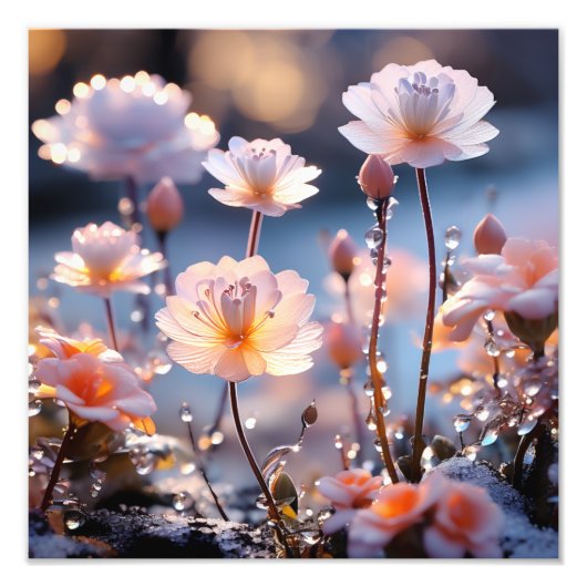 Leg de schoonheid van Natuur vast Foto Afdruk (Voorkant)