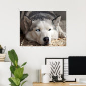 Leg Husky slee hond mooie kunst print neer (Thuiskantoor)