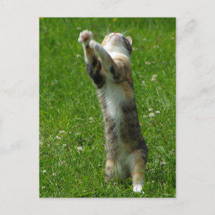 Leg je handen vast en stempel je voeten briefkaart