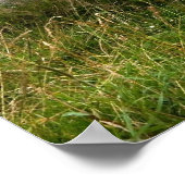 Leganany Dolmen Print (Hoek)