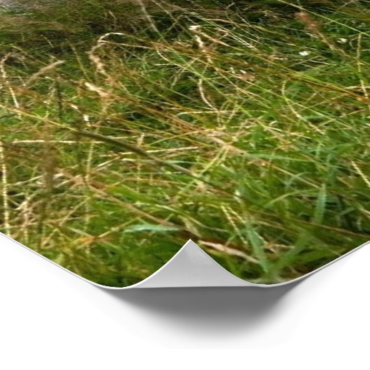 Leganany Dolmen Print (Hoek)