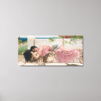  legante dame in roze canvas afdruk