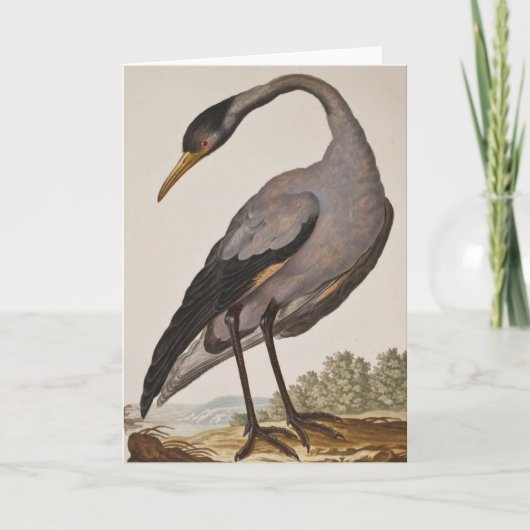 Lege 18e eeuwse Heron Notecard Kaart (Voorkant)