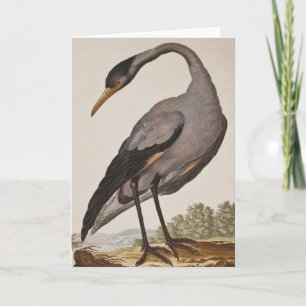 Lege 18e eeuwse Heron Notecard Kaart