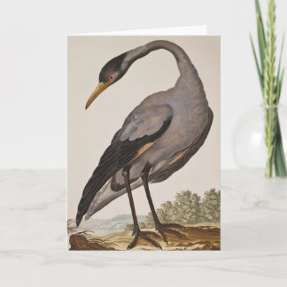 Lege 18e eeuwse Heron Notecard Kaart