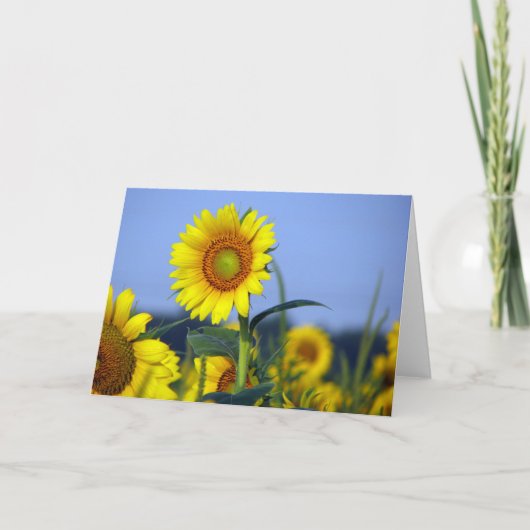 Lege binnenkant voor uw aanpassing kaart (Voorkant)