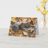 Lege binnenkant wenskaart Eekhoorn Kaart (Gele Bloem)