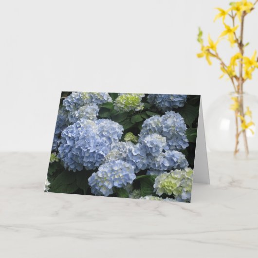 Lege Blauwe Hydragea Kaart (Gele Bloem)