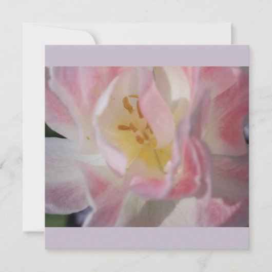 Lege bloemen uitnodiging (Voorkant)