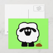 Lege Briefkaarten schapen (Voorkant / Achterkant)