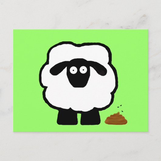 Lege Briefkaarten schapen (Voorkant)