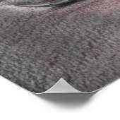 Lege Cage Anatomy Horror Origineel KunstPoster Poster (Hoek)