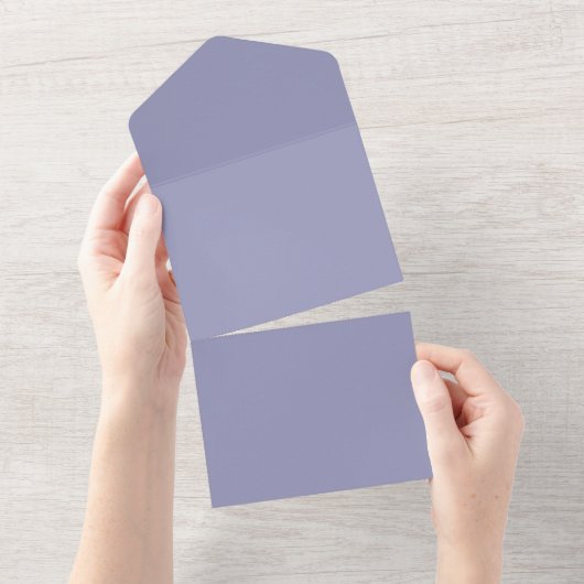 Lege Creëer Uw Eigen Papier All In One Uitnodiging (Afscheurbaar)