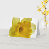 Lege de groetenkaart van de gele narcis kaart (Gele Bloem)
