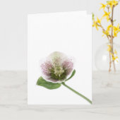 Lege de groetenkaart van Hellebore Kaart (Gele Bloem)