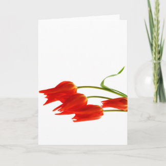 Lege de groetenkaart van tulpen kaart