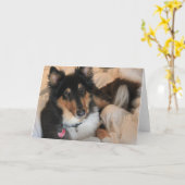 Lege de notakaarten van de op z'n gemak Collie Kaart (Gele Bloem)