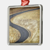 Lege gepande weg metalen ornament (Links)