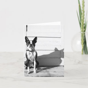 lege hond notecard kaart