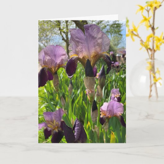 Lege Iris Bloem Kaart (Gele Bloem)