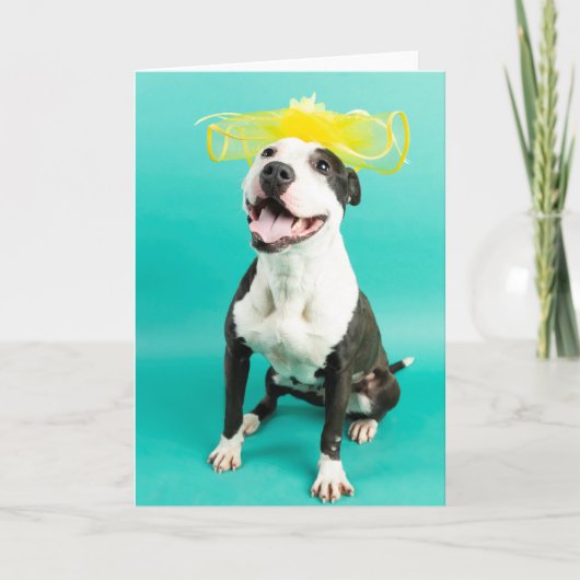 Lege kaart (Voorkant)