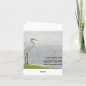 Lege Kaart, Aigrette Bedankkaart (Achterkant)