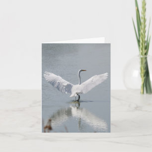 Lege Kaart, Aigrette Bedankkaart