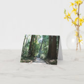 Lege Kaart, Bos Muir Kaart (Gele Bloem)