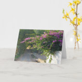 Lege Kaart - Bougainvillea op een muur (Gele Bloem)