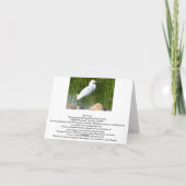 Lege Kaart, Eendjes Bedankkaart (Achterkant)