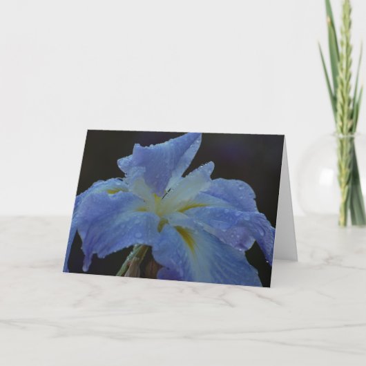 Lege Kaart - Iris (Voorkant)