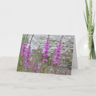 Lege kaart met hoge roze bloemen in de buurt van d