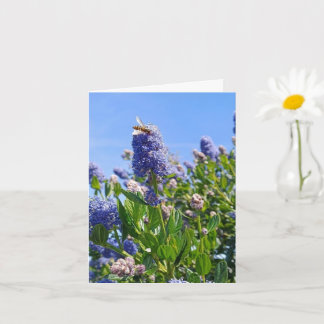 Lege kaart met paarse bloemen