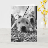 Lege kaart met puppy's (Gele Bloem)