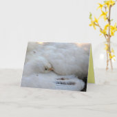 Lege Kaart met vers (Gele Bloem)