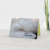 Lege Kaart met vers (Voorkant)