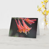 Lege Kaart - Morning Dew (Gele Bloem)