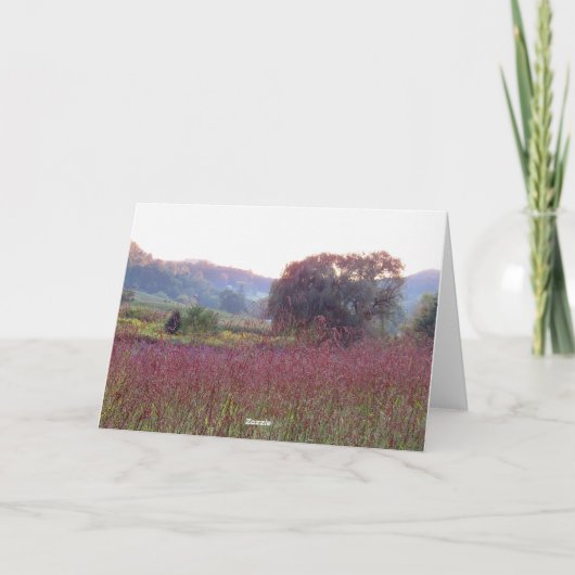 Lege Kaart van de wilde boom (Achterkant)