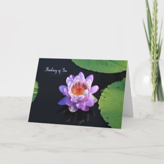 Lege Kaart waterLily Nota (Voorkant)