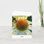 Lege Kaart, zonsopgang Bedankkaart (Achterkant)