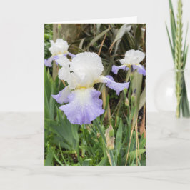 Lege lichtpaarse Iris-bloemkaart Kaart