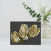 Lege Lily Seed Pods Coördinerende items Briefkaart (Staand voorkant)