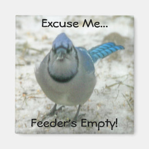 Lege magneet van de feeder