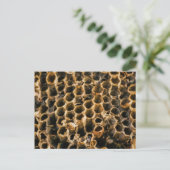 Lege Nest Briefkaart (Staand voorkant)