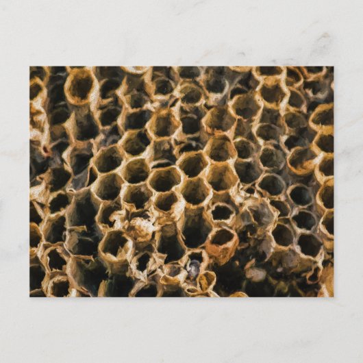 Lege Nest Briefkaart (Voorkant)