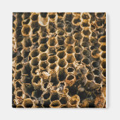 Lege Nest Magneet (Voorkant)