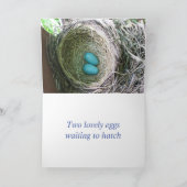 Lege nesten-dan heeft twee vogeleieren kaart (Binnen)